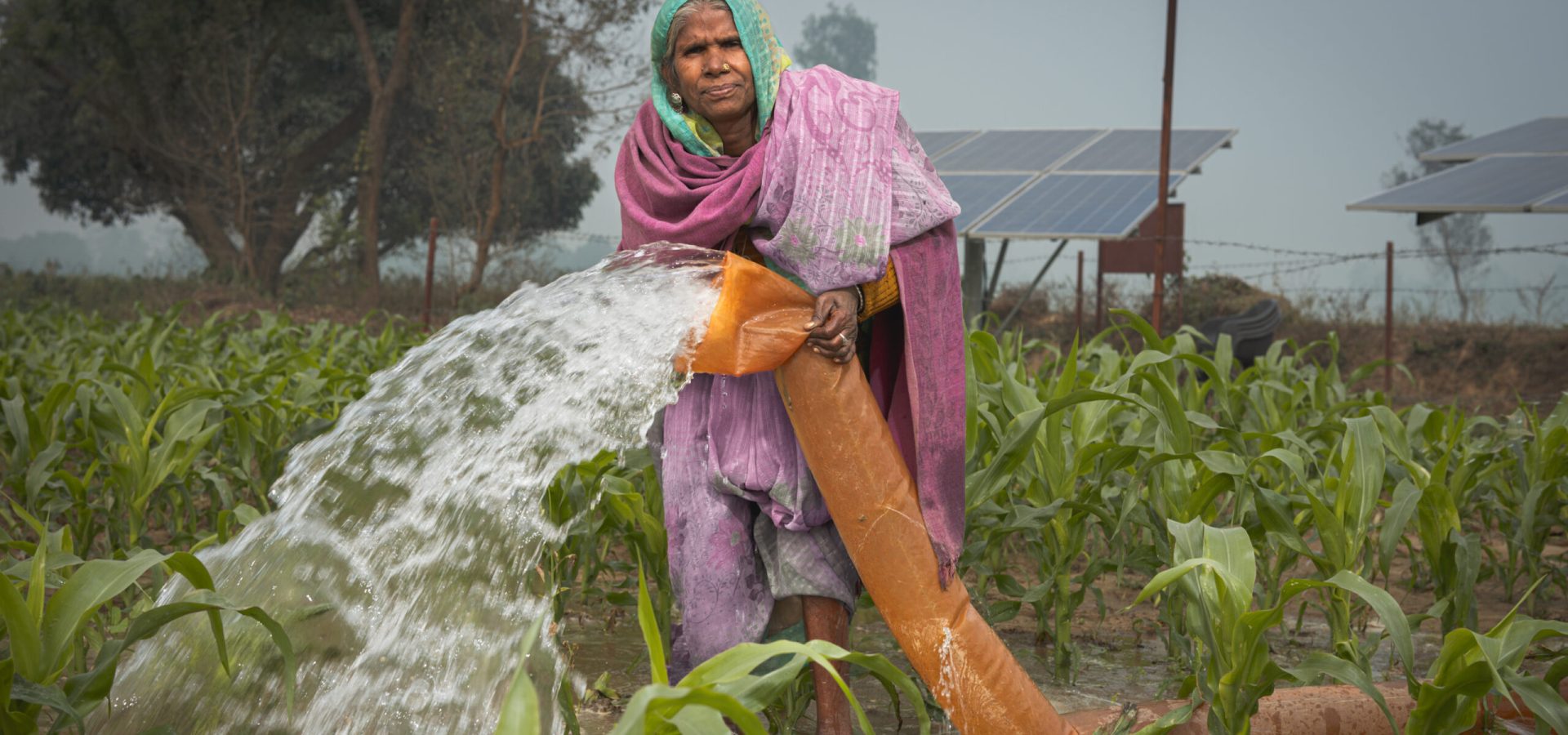 Woman farmer irrigating_Oorja
